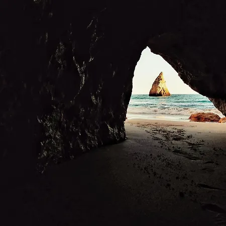 Apartment Modern In *