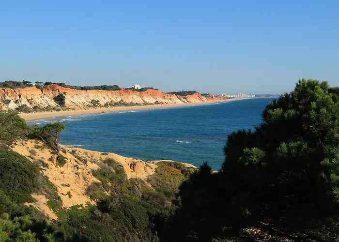 Modern In Apartment *